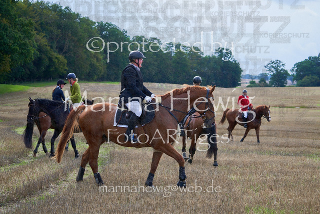 08-23 Bredeneek Jagd_MCH8943_Marina Hewig | Fotografie, FotoArt, PferdesportArt, Pferdesportfotografie, Landschaftsfotografie, Reisefotografie, Reise, Pferde - Realisiert mit Pictrs.com
