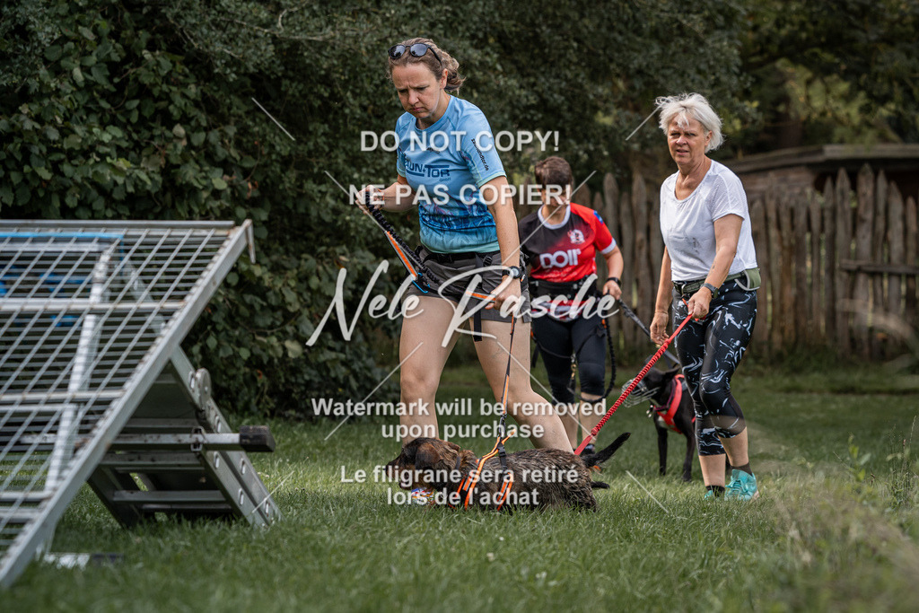 nelerasche_SoLauf_48 | nelerasche