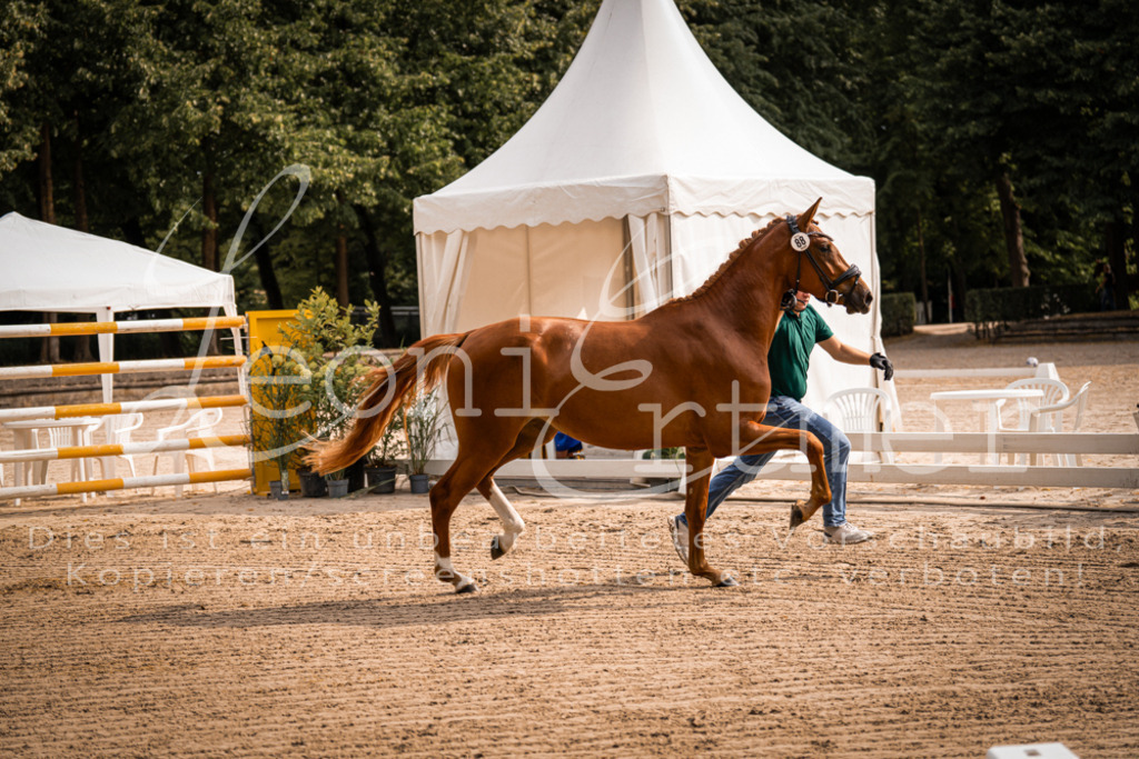 FrER00021 | Leoni Ertmer Photography - Realisiert mit Pictrs.com