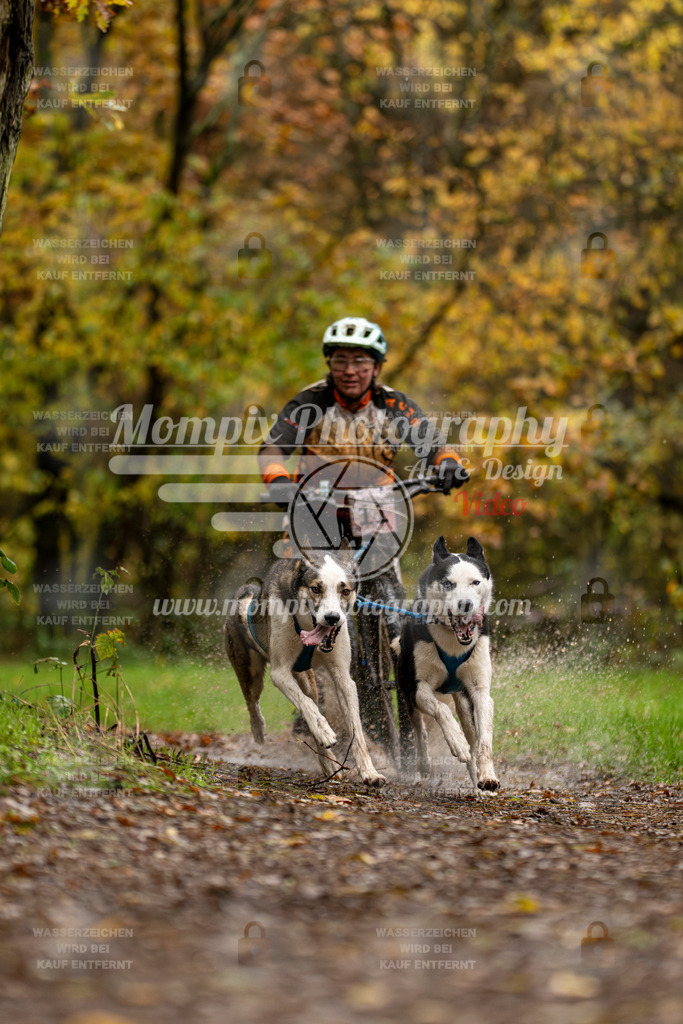 MompixPhotography_Bischwiller23_DS2-2 | mompixphotography