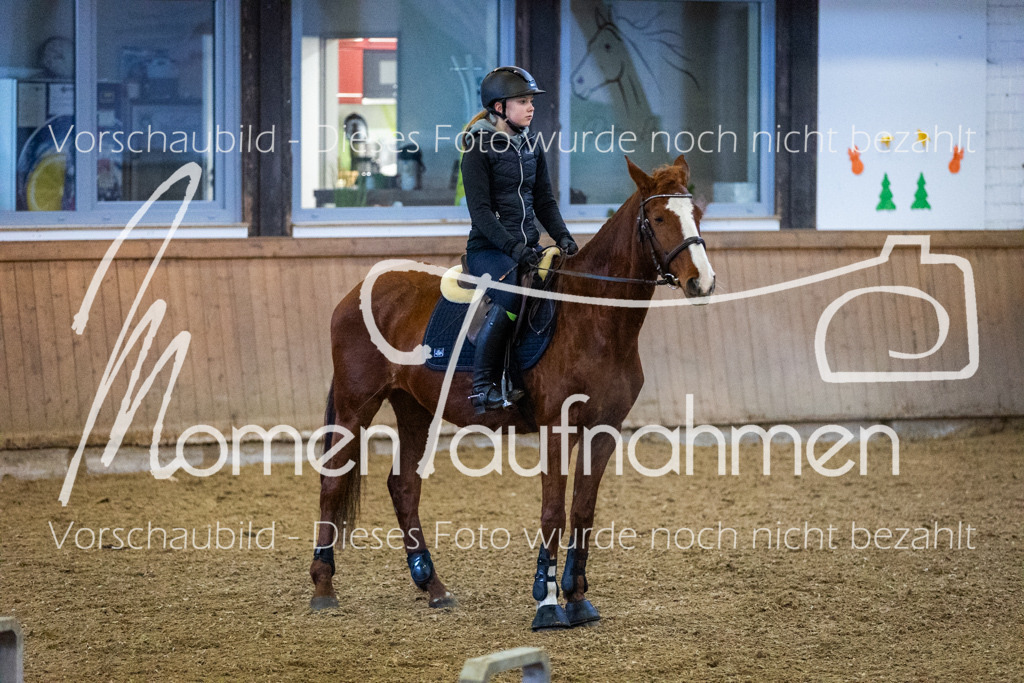 LehrgSth24-001 | MomenTaufnahmen Pferdesportfotos
