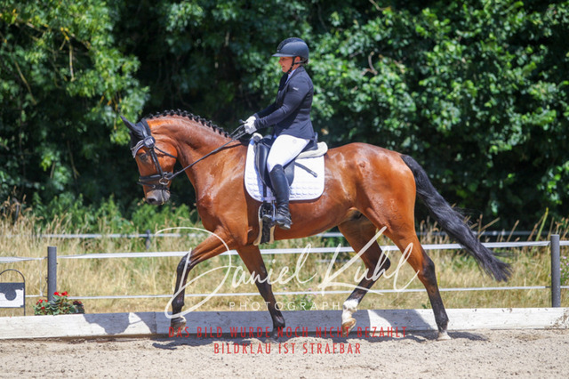 DKP46524 | Turniersportfotografie; Pferdefotografie; Dressurfotografie