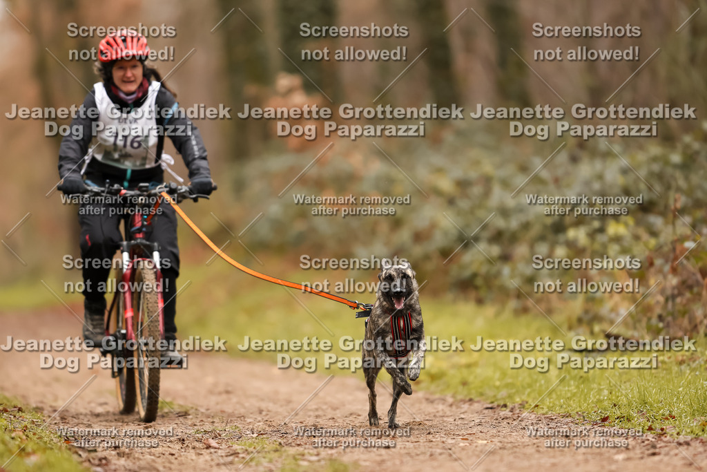 Dog Paparazzi - Speedhunter Mannheim  2025-322 | Dog Paparazzi Jeanette Grottendiek Fotografie & Videografie