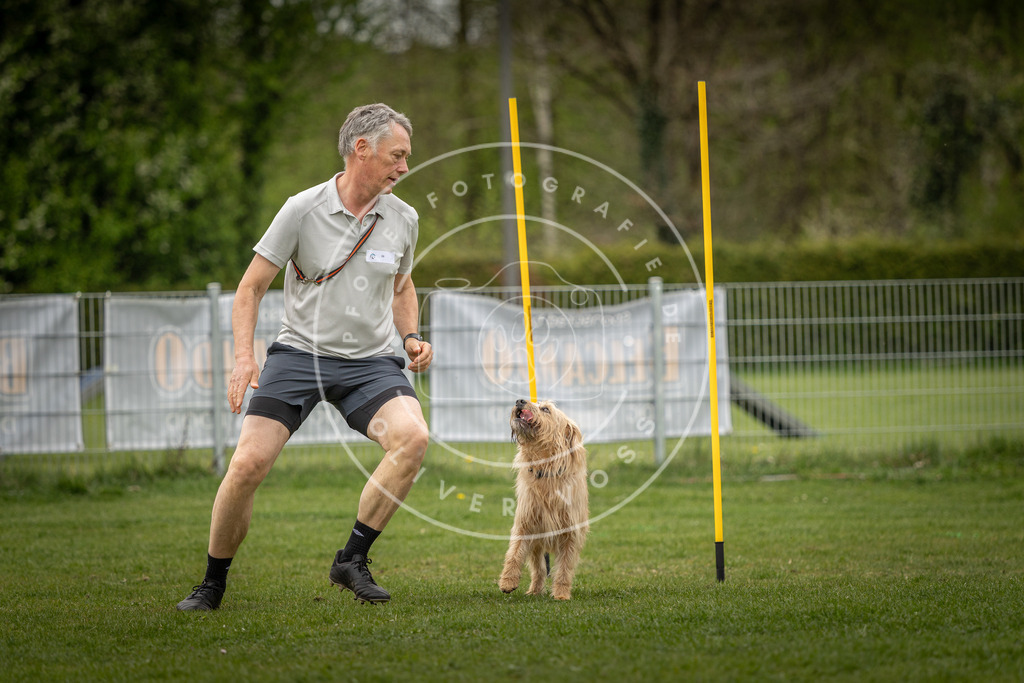 Pfotenfotografie_DV3A2004 | Hundefotografie, Tierfotograf, Pfotenfotografie, Fotoshooting Hund, Hunde Portrait, Hundesport, Hundeportraits, Heideshooting, Hunde, Sportfotograf, Hundefotograf, Turnierhundsport, THS,  - Realisiert mit Pictrs.com