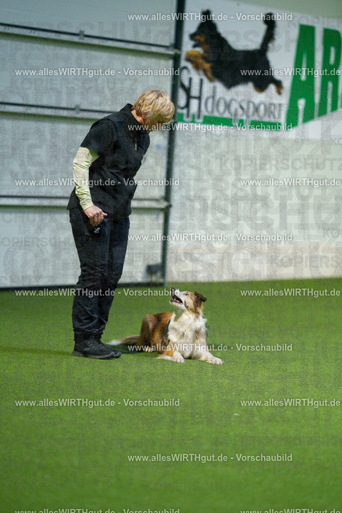 7R509753 | Professionelle Tierfotografie in Mönchengladbach von Daniel Wirth (allesWIRTHgut). Liebevolle & natürliche Bilder von Hunden & Katzen für unvergessliche Erinnerungen.