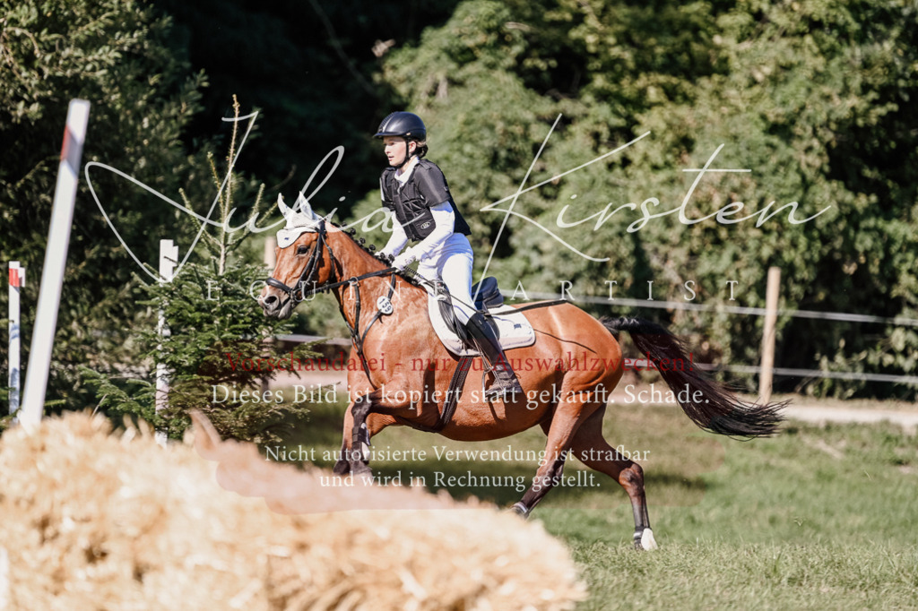 DSC_3476 | Pferde- und Turnierfotografie in Westsachsen. Pferdeportraits, Auftragszeichnungen und intuitive Kunst.
