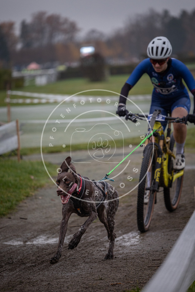 CaniXpix_0L8A1634 | Hundefotografie, Tierfotograf, Pfotenfotografie, Fotoshooting Hund, Hunde Portrait, Hundesport, Hundeportraits, Heideshooting, Hunde, Sportfotograf, Hundefotograf, Turnierhundsport, THS,  - Realisiert mit Pictrs.com
