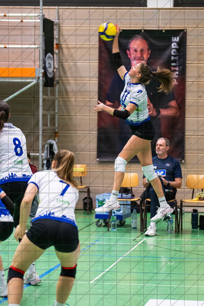 2. VBLF Nord 25/26 | Spiel 4072 | VC Osnabrück vs. Schweriner SC II | //  17.01.26: 2. VBLF Nord 25/26 | Spiel 4072 | VC Osnabrück vs. Schweriner SC II / Osnabrück / Deutschland  //   CREDIT:www.bullenfotos.de, Martin König, Hörner Weg 40, D-49078 Osnabrück, +4917663732967 // Nutzung und Weitergabe nur zu den vereinbarten Zwecken. Presseanfragen an Ersteller. Alle Rechte beim Ersteller. Honorierung nach MFM. - Realisiert mit Pictrs.com
