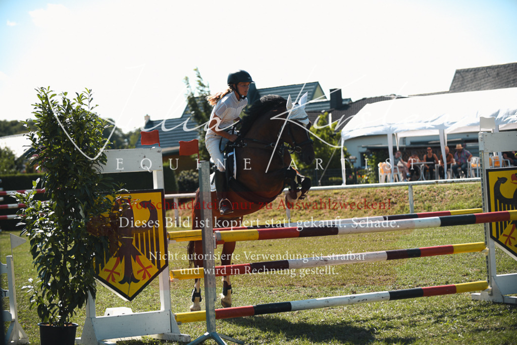 DSC_7292 | Pferde- und Turnierfotografie in Westsachsen. Pferdeportraits, Auftragszeichnungen und intuitive Kunst.
