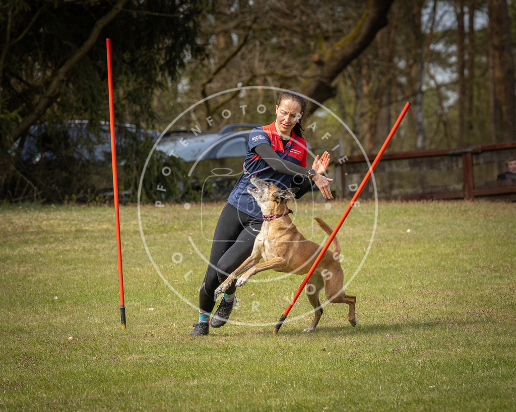 Pfotenfotografie_DV3A7426 | Hundefotografie, Tierfotograf, Pfotenfotografie, Fotoshooting Hund, Hunde Portrait, Hundesport, Hundeportraits, Heideshooting, Hunde, Sportfotograf, Hundefotograf, Turnierhundsport, THS,  - Realisiert mit Pictrs.com