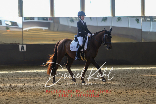 IMG_2542 | Turniersportfotografie; Pferdefotografie; Dressurfotografie