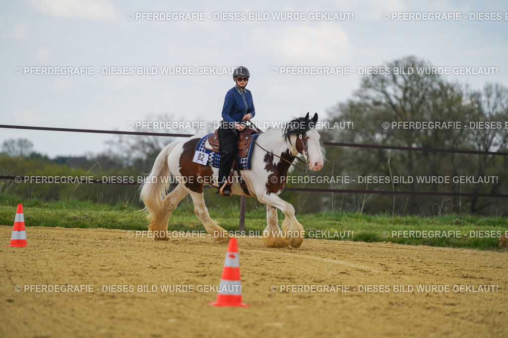 DSC05989 | Pferdegrafie