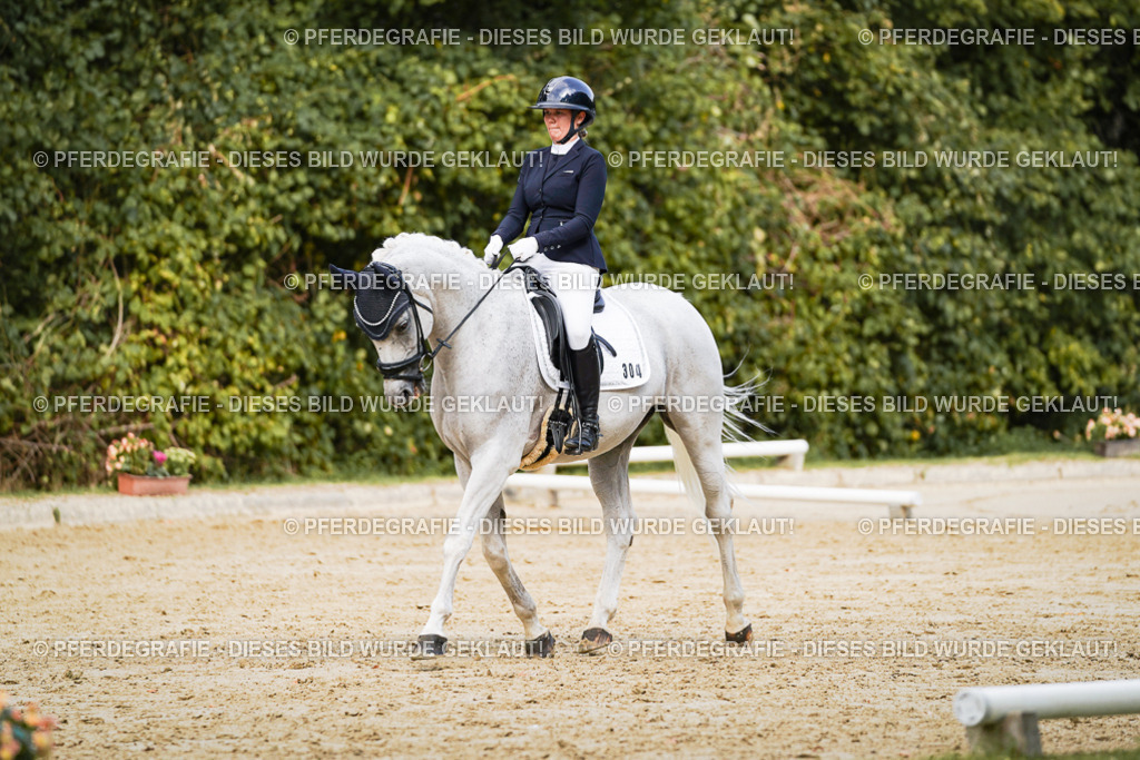 DSC02595 | Pferdegrafie