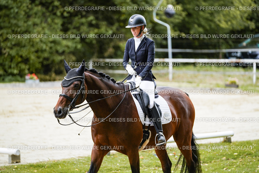 DSC09329 | Pferdegrafie