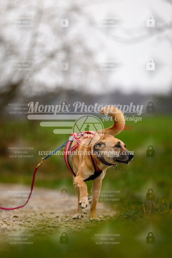 MompixPhotography_ReiatRennen2024_SO_Happy-48 | PayLife