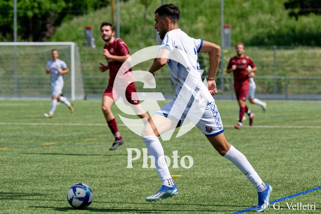 DSC_1373_M | Velletri Photo