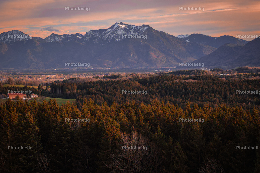 IMG_5765 | phototaetig