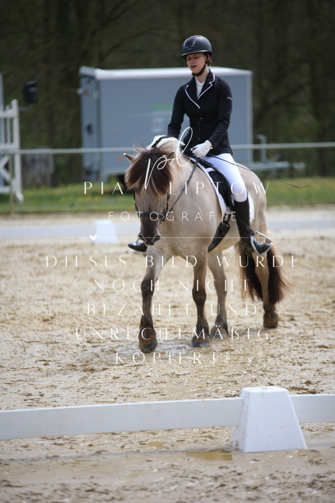 IMGT3232 | pl-fotografie