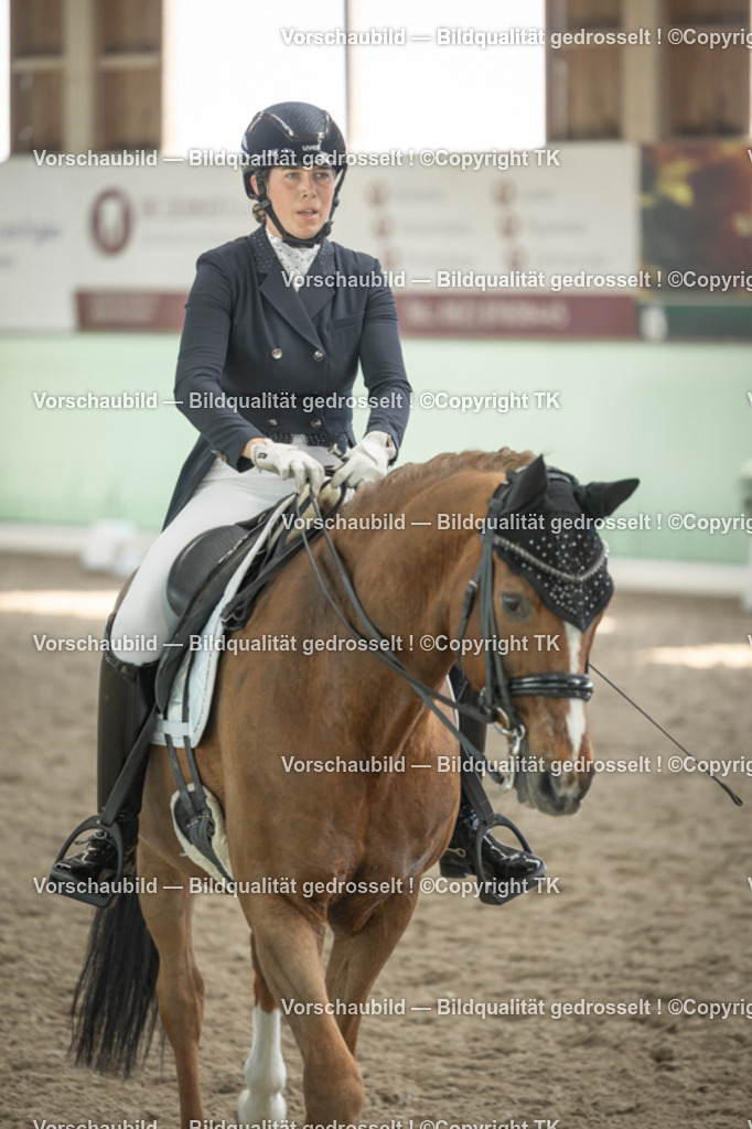 _D5A2475 | Emotionale Pferde- & People-Fotografie rund um Heidelberg, Leimen & Umgebung. Natürliche Fotos von Pferd, Mensch & Familie. Jetzt Termin sichern!