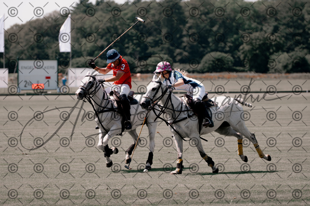 POL_3196-2 | andre_photographic