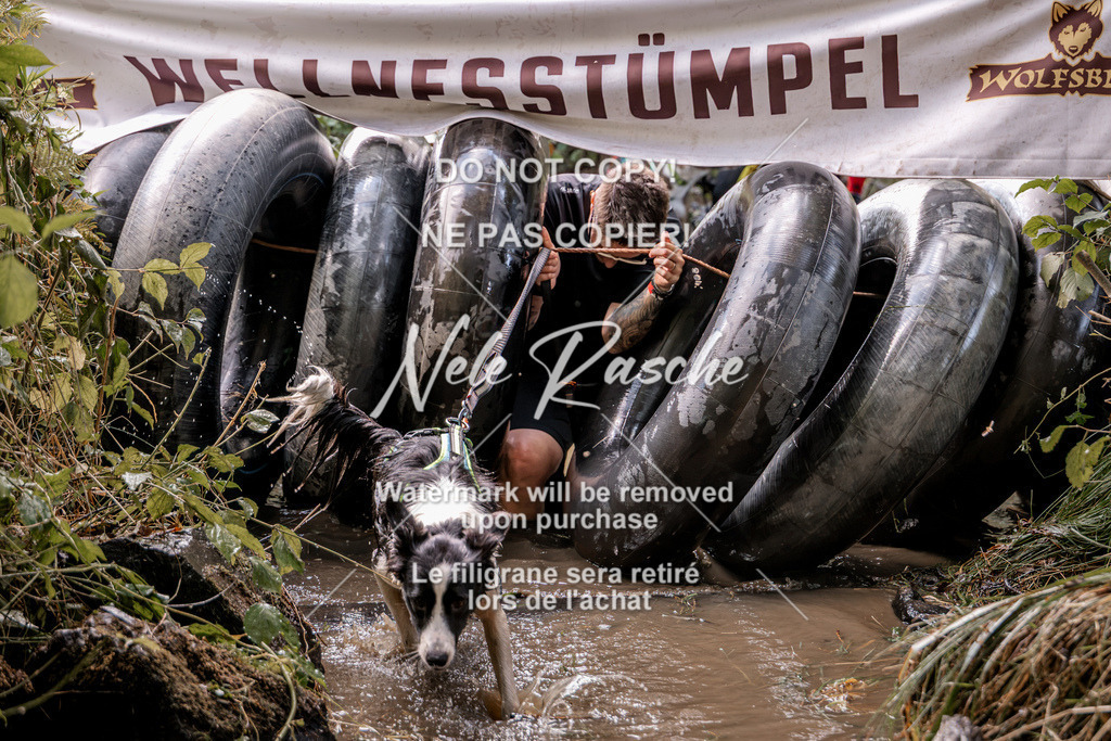 nelerasche_Hunsrück2026_Sa1400-1500_171 | nelerasche