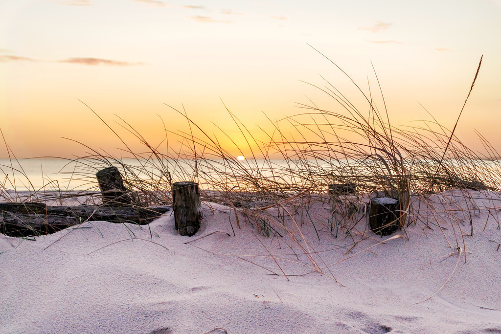 Wandbild: Sonnenaufgang über kleiner Düne  | Sanfte Farben und eine beruhigende Küstenlandschaft – dieses Wandbild fängt die friedliche Morgenstimmung am Meer perfekt ein. Eine kleine Düne mit Strandhafer verleiht dem Bild Natürlichkeit, während die Holzpfähle einen charmanten Akzent setzen. Die aufgehende Sonne taucht den Himmel in ein weiches Pastellrot-Orange und der Sandstrand bringt eine warme, natürliche Farbnote ins Bild. Diese maritime Szene schafft eine wohnliche und entspannende Atmosphäre – perfekt für Ihr Zuhause. - Realisiert mit Pictrs.com