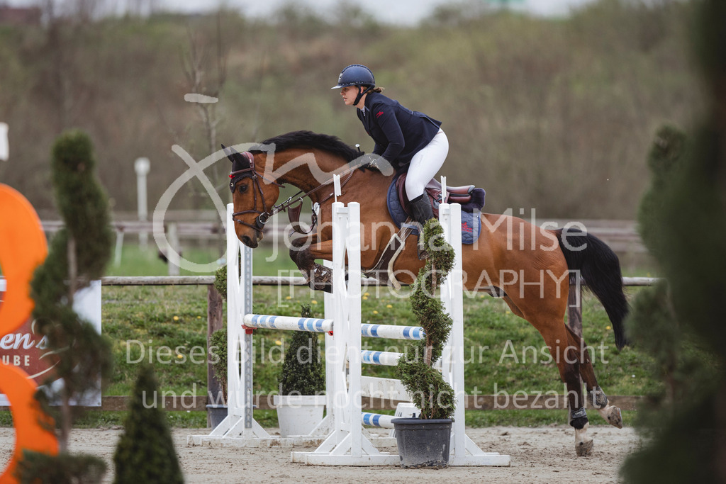 240330_Fruehlingsfest_Stil-A2-2-726 | Deine schönsten Turniermomente als professionelle Fotos! Entdecke hochwertige Pferdesport-Fotografie im Online-Shop. Jetzt Fotos finden & bestellen!