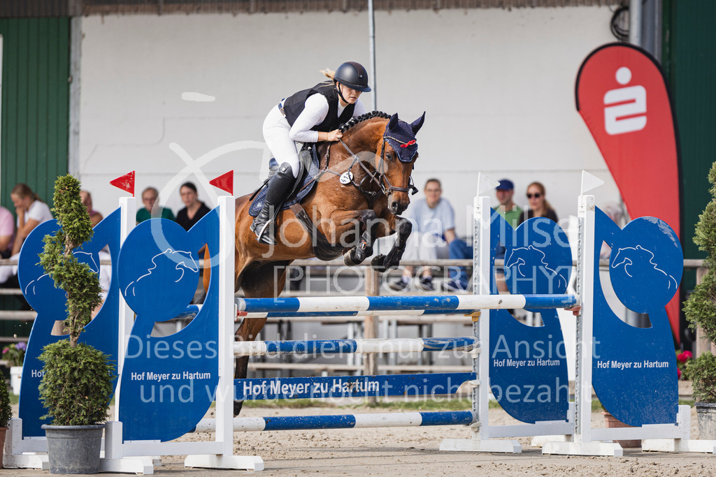 250629_PfSpTa_Stil-L2-343 | Deine schönsten Turniermomente als professionelle Fotos! Entdecke hochwertige Pferdesport-Fotografie im Online-Shop. Jetzt Fotos finden & bestellen!