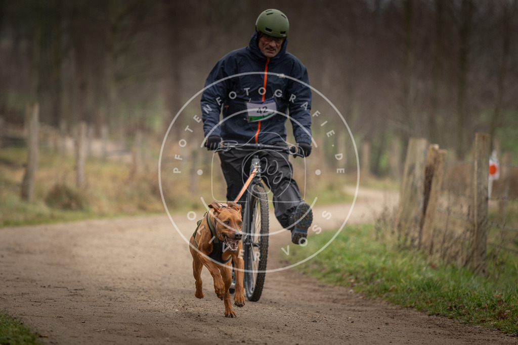 Pfotenfotografie_DV3A2613 | Hundefotografie, Tierfotograf, Pfotenfotografie, Fotoshooting Hund, Hunde Portrait, Hundesport, Hundeportraits, Heideshooting, Hunde, Sportfotograf, Hundefotograf, Turnierhundsport, THS,  - Realisiert mit Pictrs.com