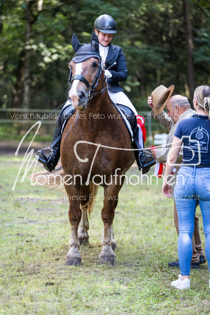 HB-Reiter-WB-088 | MomenTaufnahmen Pferdesportfotos