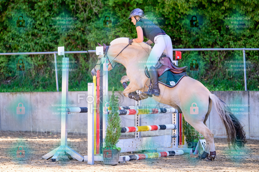 29082026-Giesenbach-Prfg10-0901 | Fokus Hufschlag Fotografie - Realisiert mit Pictrs.com