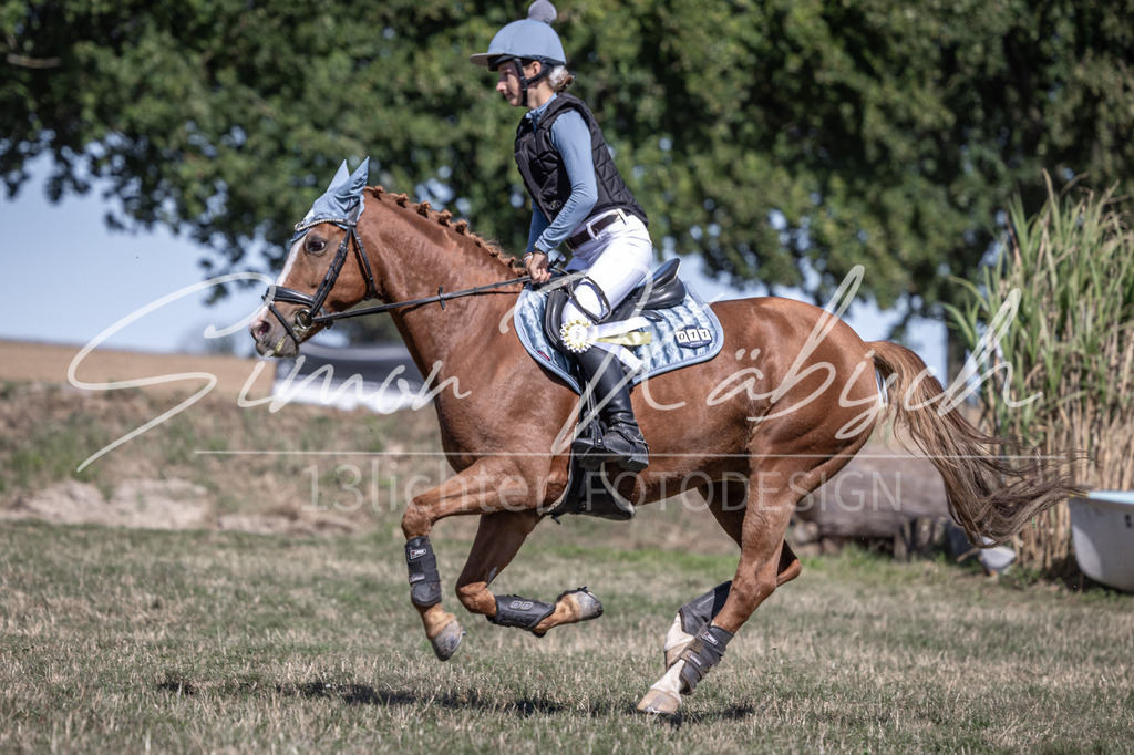 20260906-_3LI4613 | Tierfotografie Pferde, Hunde, Katzen, Haustiere.
Turnierfotografie Reitturniere, Reiten, Springreiten, Dressur in Hanau, dem Main-Kinzig-Kreis und dem Rhein-Main- Gebiet um Frankfurt