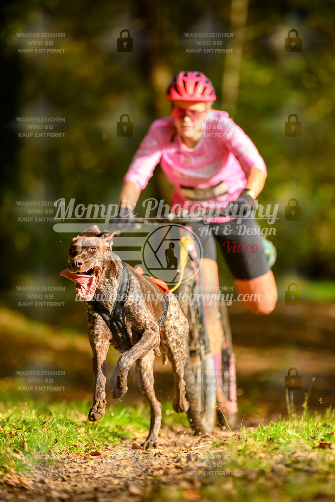MompixPhotography_20TSB_E1_DS1-3 | PayLife