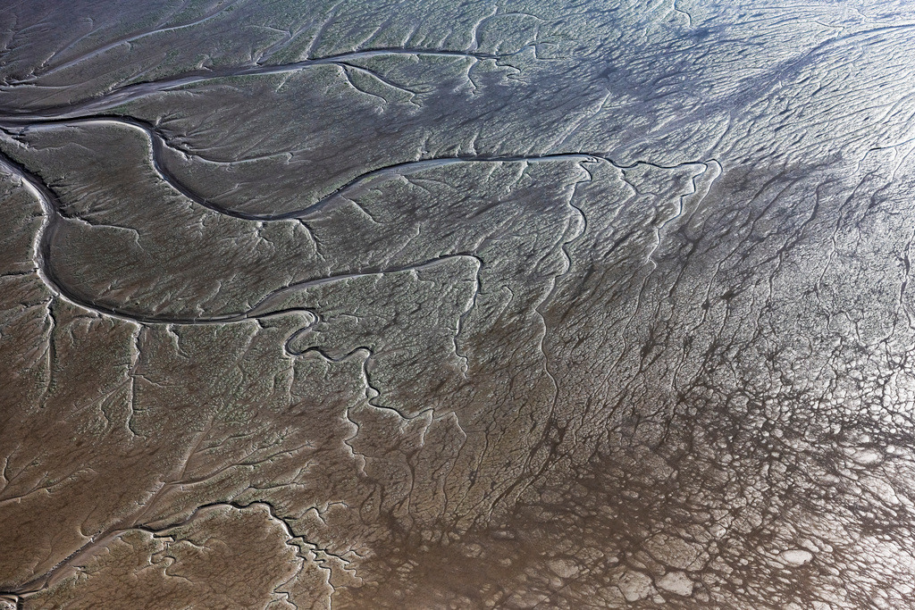 dr__0074553.jpg | JORK 01.09.2021 Uferbereiche mit Watt- Bereichen am Flußverlauf der Elbe in Jork Altes Land im Bundesland Niedersachsen, Deutschland. // Riparian areas with mudflats along the course of the river of the River Elbe in Jork Old Land in the state Lower Saxony, Germany. Foto: Daniel Reiter