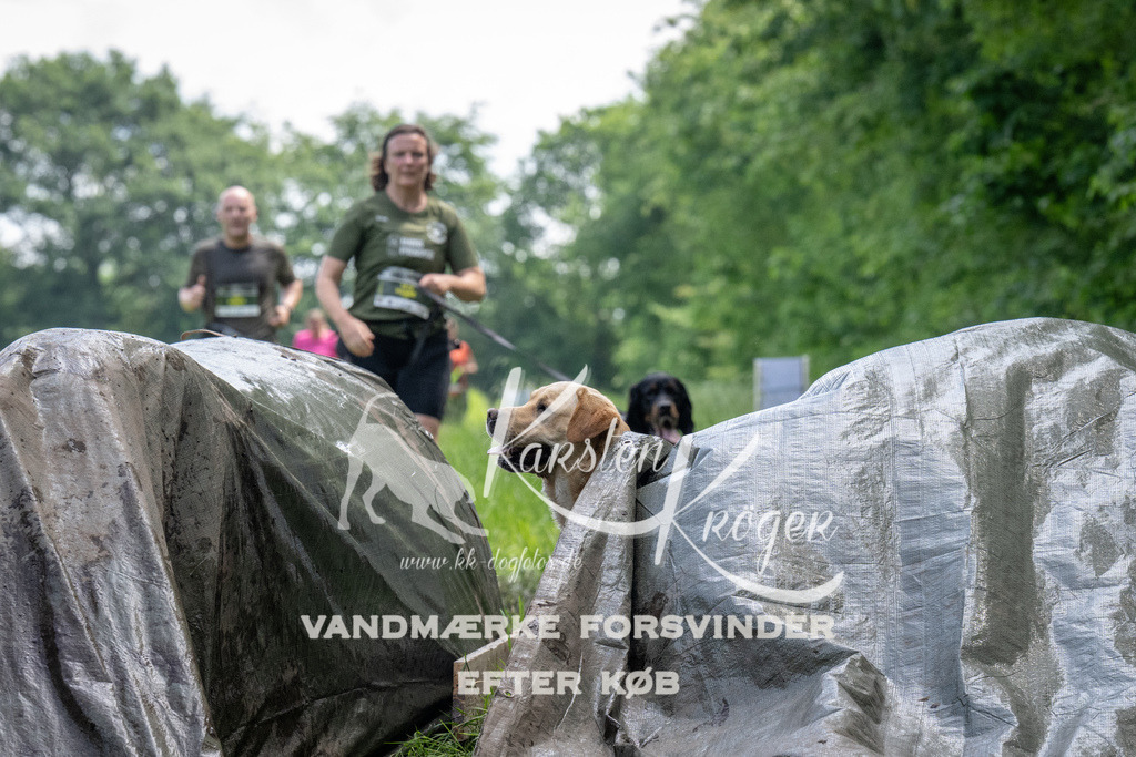 1142_ZZ93981 | kk-dogfotos
