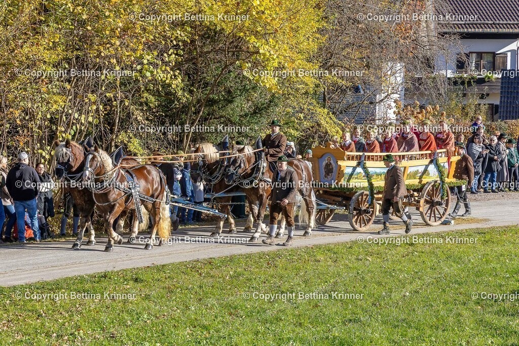 LBT25-416 | foto-bettina-krinner - Realisiert mit Pictrs.com