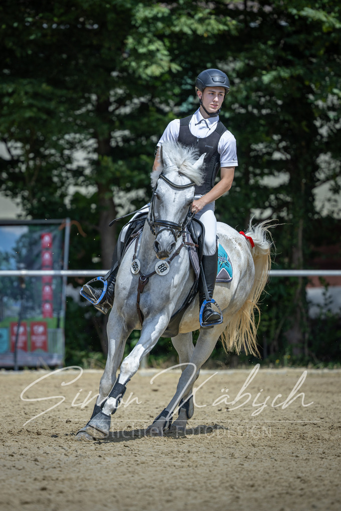 20260704-_3LI0291 | Tierfotografie Pferde, Hunde, Katzen, Haustiere.
Turnierfotografie Reitturniere, Reiten, Springreiten, Dressur in Hanau, dem Main-Kinzig-Kreis und dem Rhein-Main- Gebiet um Frankfurt