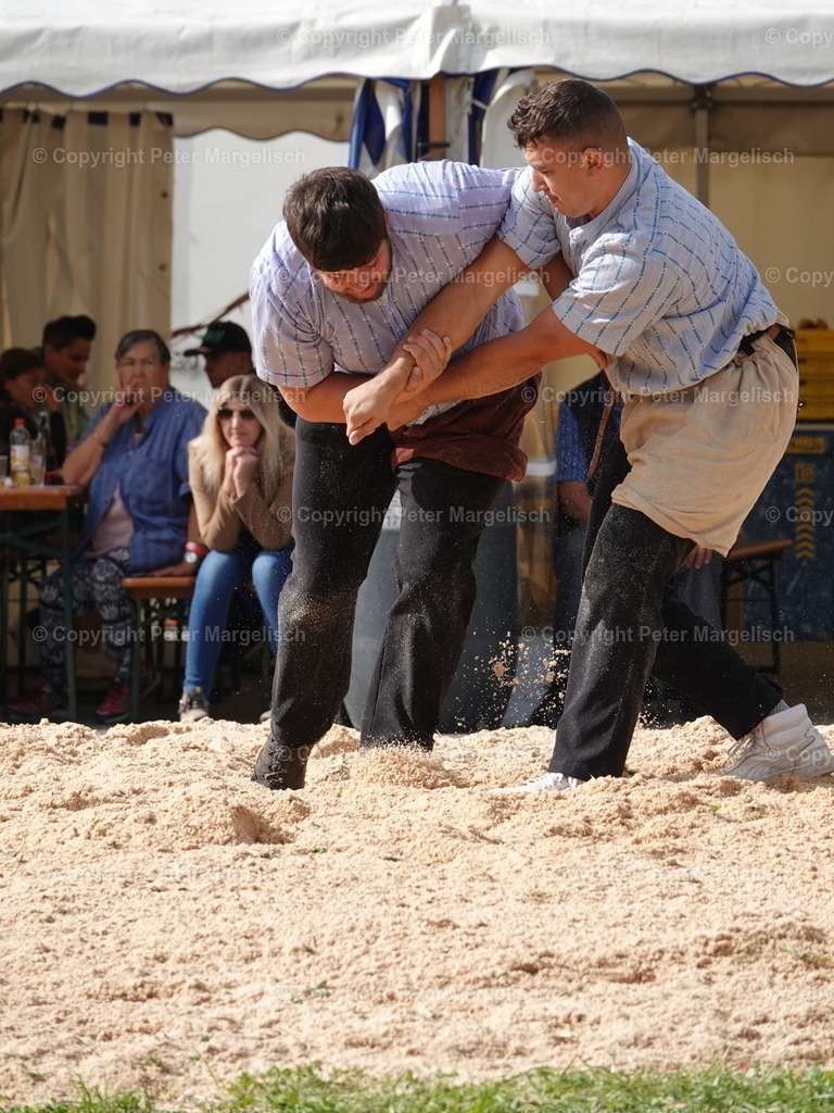 DSC05731 | Schwingen - Realisiert mit Pictrs.com