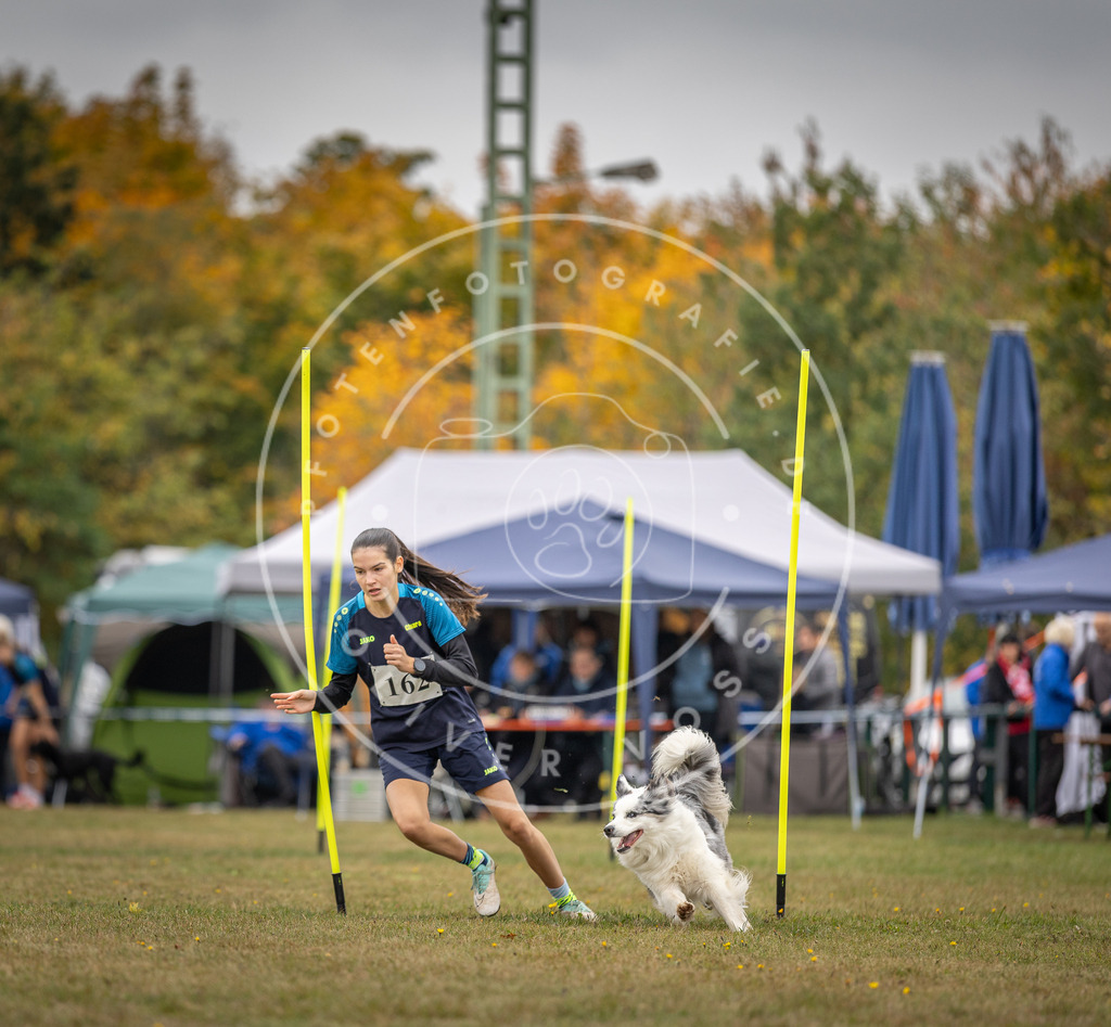 Pfotenfotografie_DV3A5150 | Hundefotografie, Tierfotograf, Pfotenfotografie, Fotoshooting Hund, Hunde Portrait, Hundesport, Hundeportraits, Heideshooting, Hunde, Sportfotograf, Hundefotograf, Turnierhundsport, THS,  - Realisiert mit Pictrs.com