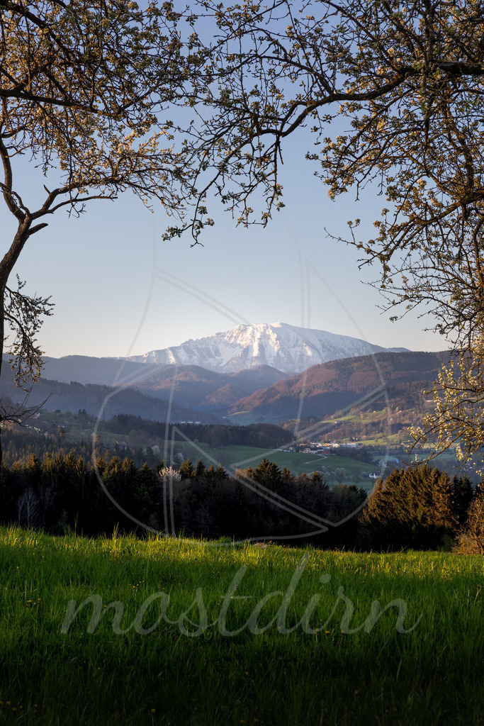 Der Ötscher, der Wächter des Mostviertels | Bei Veröffentlichung des Bildes ist eine Namensnennung wie folgt erforderlich: Foto: Mostdirn Irmgard Wieser - Realisiert mit Pictrs.com