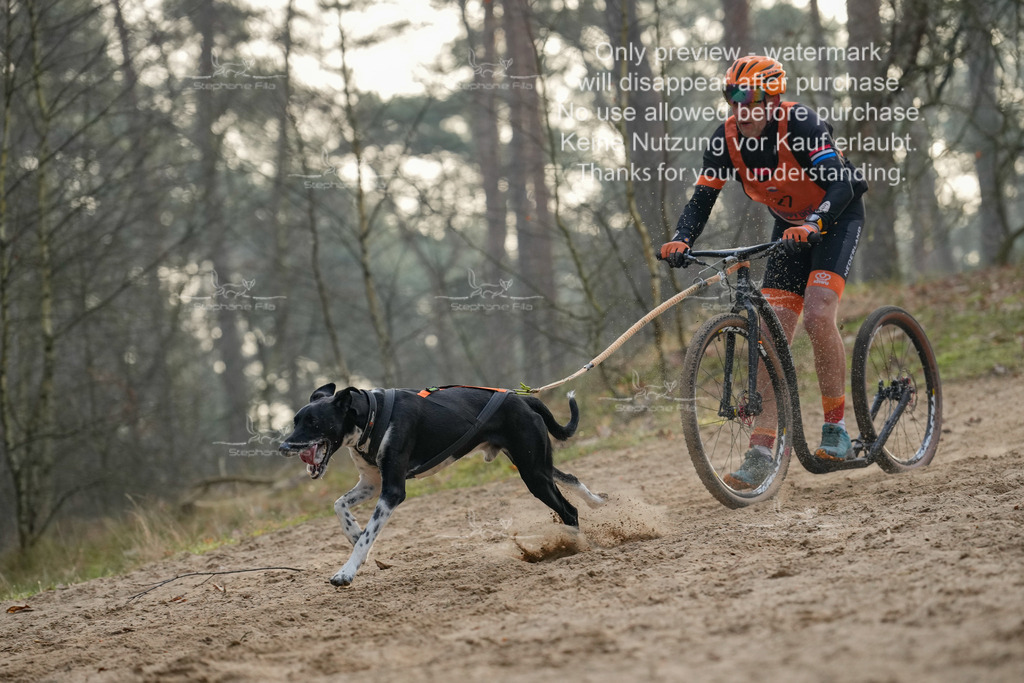 Scooter1-157 | stephaniefillaphotographie - Realisiert mit Pictrs.com