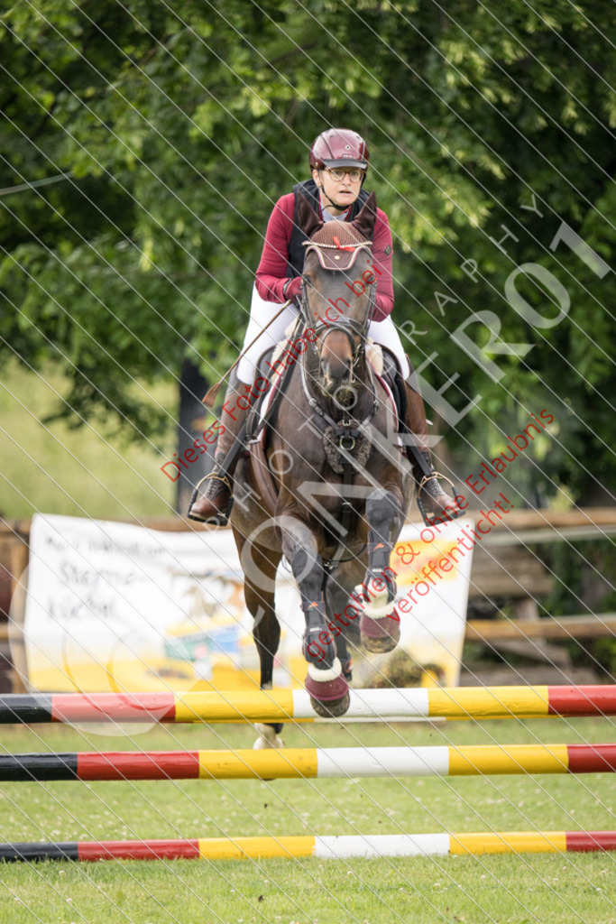 IMG_2446 | Sport-, Event- und Tierfotos in Profiqualität. Einfach auswählen, bestellen und herunterladen. Dein Moment – perfekt festgehalten.