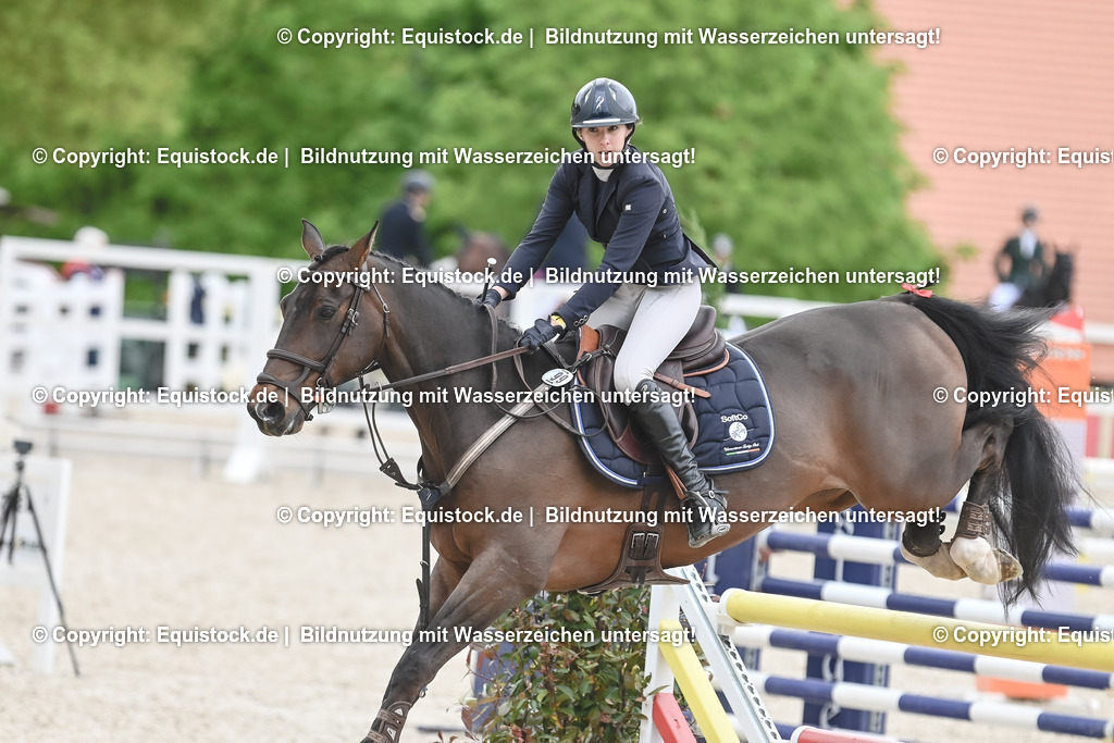20230514_CCI4_Springen_0109 | equistock