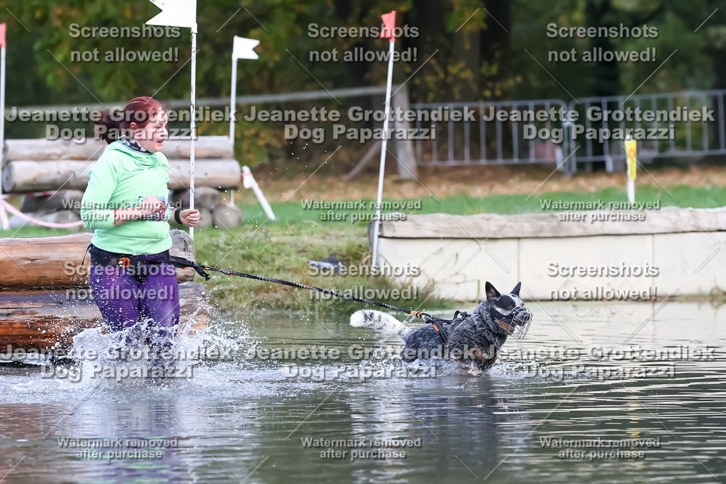 Dog Paparazzi - Strongdog 10-25-6376 | Dog Paparazzi Jeanette Grottendiek Fotografie & Videografie - Realisiert mit Pictrs.com