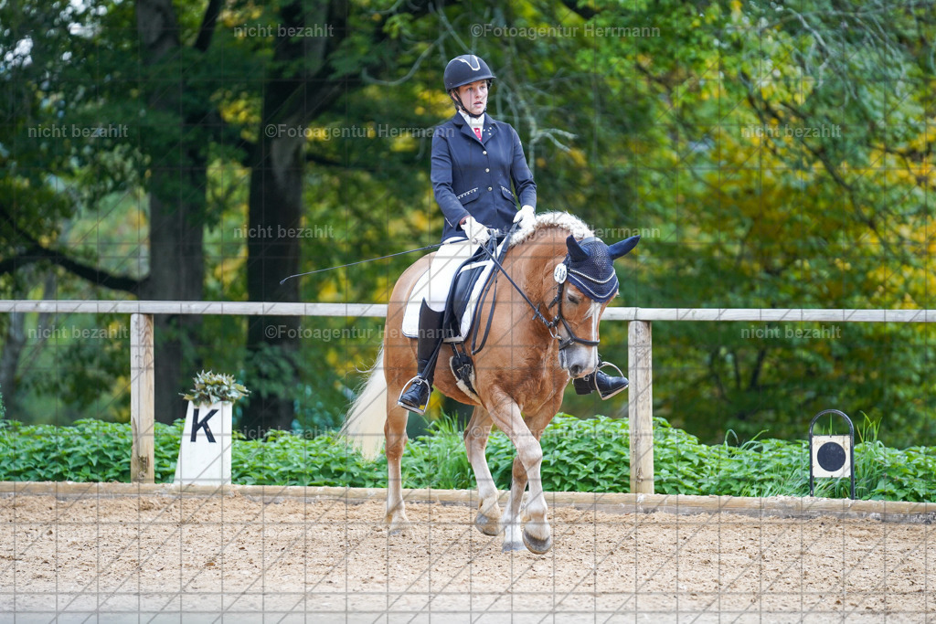 20221008-FAH00915 | Diessen am Ammersee, 2022, Dressur- und Springturnier, Reitsportbilder, Turnierfotografen Bayern, Pferdefotografen, Fotoagentur Herrmann, Turnierbilder