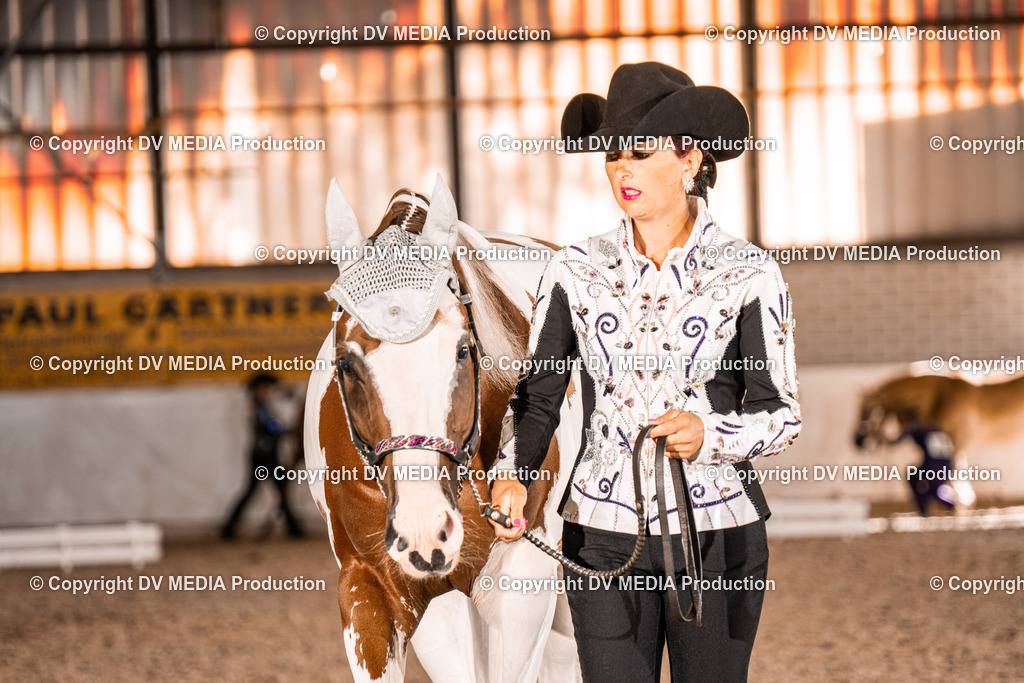 ZH100183 | dv-media-shop - Realisiert mit Pictrs.com