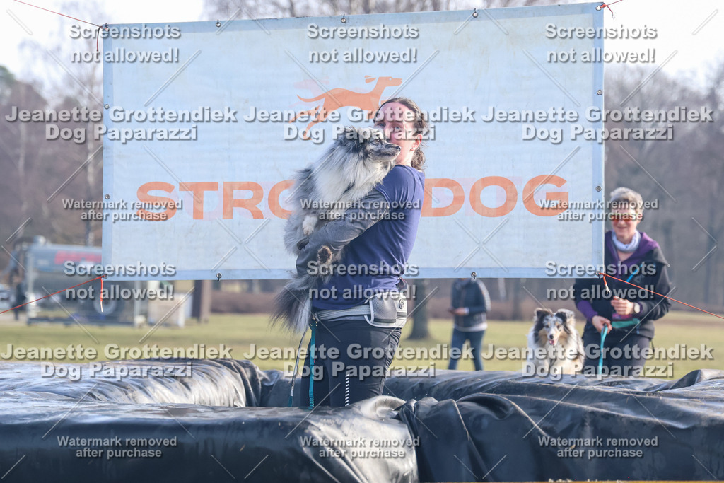 Dog Paparazzi - Strongdog North Mrz26-585 | Dog Paparazzi Jeanette Grottendiek Fotografie & Videografie - Realisiert mit Pictrs.com