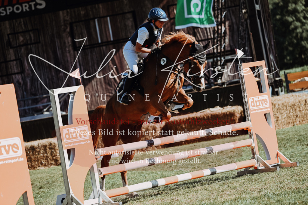 DSC_6946 | Pferde- und Turnierfotografie in Westsachsen. Pferdeportraits, Auftragszeichnungen und intuitive Kunst.