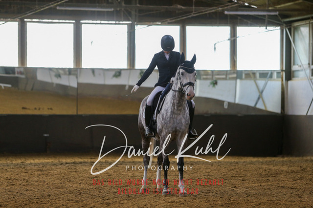 IMG_2697 | Turniersportfotografie; Pferdefotografie; Dressurfotografie