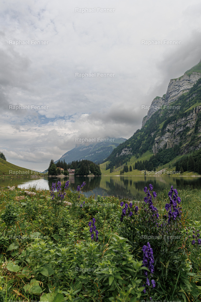 Seealpsee im Kanton Appenzell  | Erlebe eindrucksvolle Landschaftsfotografie aus dem Engadin und darüber hinaus. Raphael Fenner bietet zudem professionelle Fotoaufträge für Hochzeiten, Porträts und Unternehmen. Jetzt entdecken und inspirieren lassen!